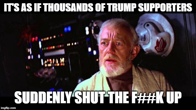 obi wan million voices | IT'S AS IF THOUSANDS OF TRUMP SUPPORTERS; SUDDENLY SHUT THE F##K UP | image tagged in obi wan million voices | made w/ Imgflip meme maker