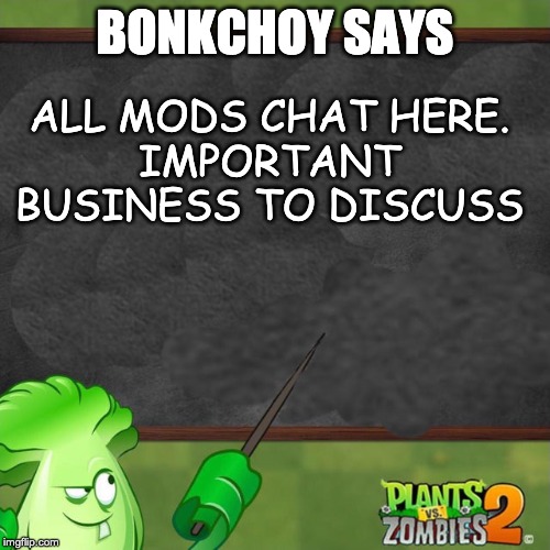 Bonk Choy says | BONKCHOY SAYS; ALL MODS CHAT HERE.
IMPORTANT BUSINESS TO DISCUSS | image tagged in bonk choy says | made w/ Imgflip meme maker