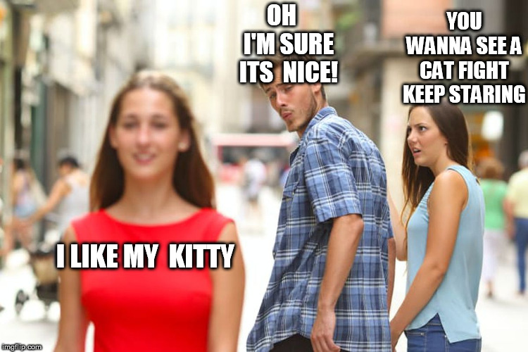 Distracted Boyfriend Meme | I LIKE MY  KITTY OH    I'M SURE ITS  NICE! YOU WANNA SEE A CAT FIGHT KEEP STARING | image tagged in memes,distracted boyfriend | made w/ Imgflip meme maker