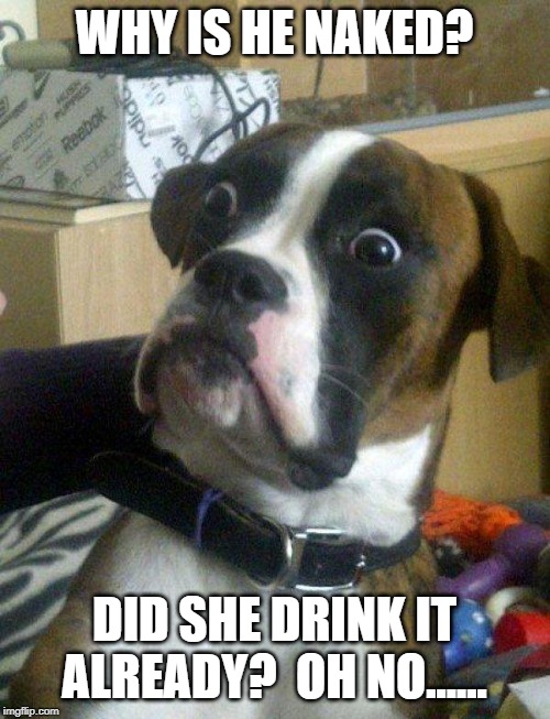 Blankie the Shocked Dog | WHY IS HE NAKED? DID SHE DRINK IT ALREADY?  OH NO...... | image tagged in blankie the shocked dog | made w/ Imgflip meme maker