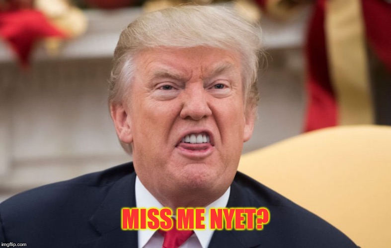 Dumb tRumpy | MISS ME NYET? | image tagged in dumb trumpy | made w/ Imgflip meme maker