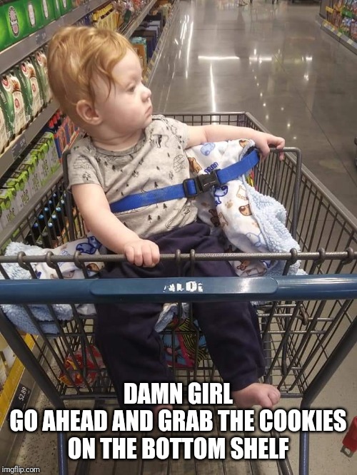 Cart baby | DAMN GIRL
GO AHEAD AND GRAB THE COOKIES ON THE BOTTOM SHELF | image tagged in cart baby | made w/ Imgflip meme maker
