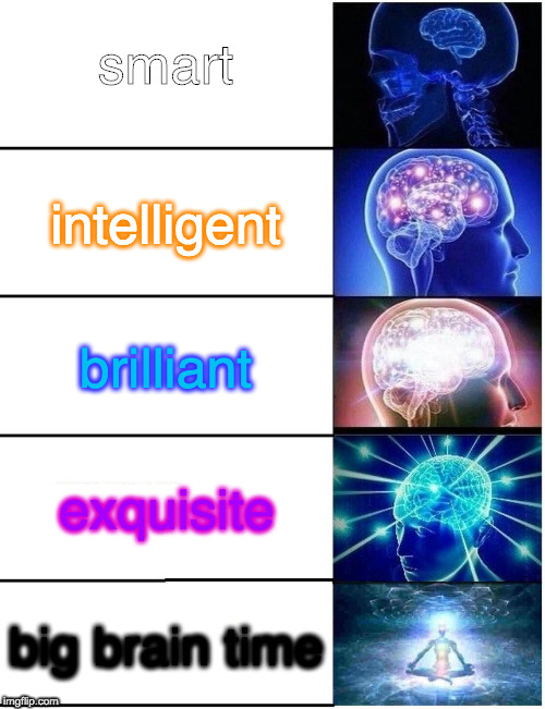 big brain time | smart; intelligent; brilliant; exquisite; big brain time | image tagged in expanding brain 5 panel | made w/ Imgflip meme maker