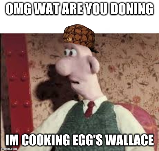 Surprised Wallace | OMG WAT ARE YOU DONING; IM COOKING EGG'S WALLACE | image tagged in surprised wallace | made w/ Imgflip meme maker