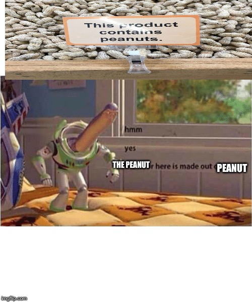 The peanut is made out of peanut | PEANUT; THE PEANUT | image tagged in hmm yes the floor here is made out of floor,hmmm,memes,funny memes | made w/ Imgflip meme maker