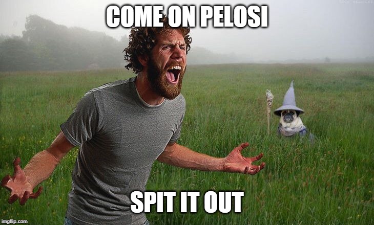 Oh come on | COME ON PELOSI SPIT IT OUT | image tagged in oh come on | made w/ Imgflip meme maker