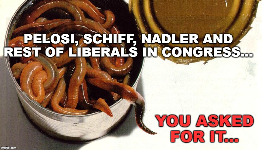 Can of Worms | PELOSI, SCHIFF, NADLER AND REST OF LIBERALS IN CONGRESS... YOU ASKED FOR IT... | image tagged in worms,pelosi,schiff,nadler,congressional liberals | made w/ Imgflip meme maker