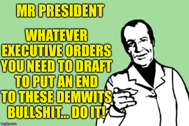 It’s time | MR PRESIDENT; WHATEVER EXECUTIVE ORDERS YOU NEED TO DRAFT TO PUT AN END TO THESE DEMWITS BULLSHIT... DO IT! | image tagged in blank reason,way past time actually,let the orders fall where they may,your name is scifft,sorry u cant be a member of cogress w | made w/ Imgflip meme maker
