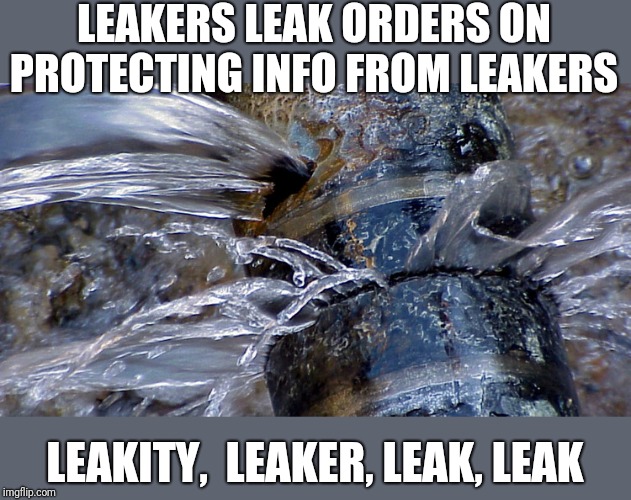 LEAKERS LEAK ORDERS ON PROTECTING INFO FROM LEAKERS; LEAKITY,  LEAKER, LEAK, LEAK | image tagged in funny memes,donald trump | made w/ Imgflip meme maker