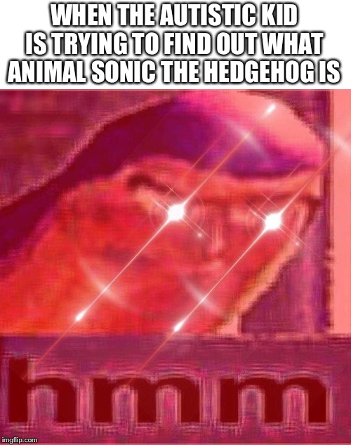 Somebody Help This Kid Out! | WHEN THE AUTISTIC KID IS TRYING TO FIND OUT WHAT ANIMAL SONIC THE HEDGEHOG IS | image tagged in buzz lightyear hmm intense edition,autistic,sonic the hedgehog,animals,hmmm | made w/ Imgflip meme maker