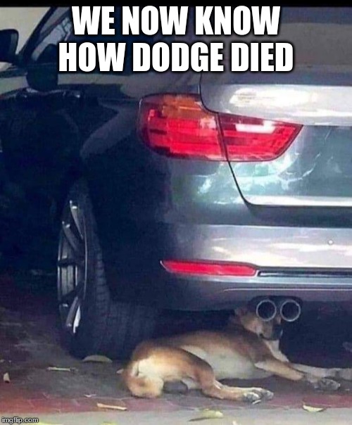 Area 51 | WE NOW KNOW HOW DODGE DIED | image tagged in area 51 | made w/ Imgflip meme maker