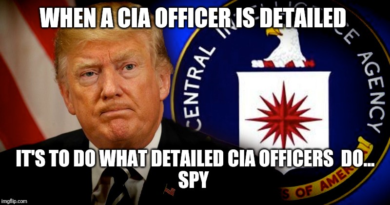 Since when is the CIA supposed to direct US policy | WHEN A CIA OFFICER IS DETAILED; IT'S TO DO WHAT DETAILED CIA OFFICERS  DO...
SPY | image tagged in democratic party,evil,traitor | made w/ Imgflip meme maker
