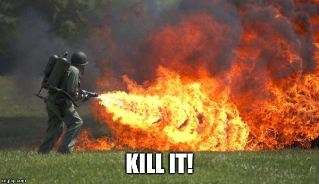 flamethrower | KILL IT! | image tagged in flamethrower | made w/ Imgflip meme maker