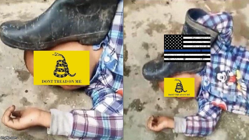 The Party of Small Government | image tagged in boot on head,don't tread on me,blue lives matter,libertarian | made w/ Imgflip meme maker