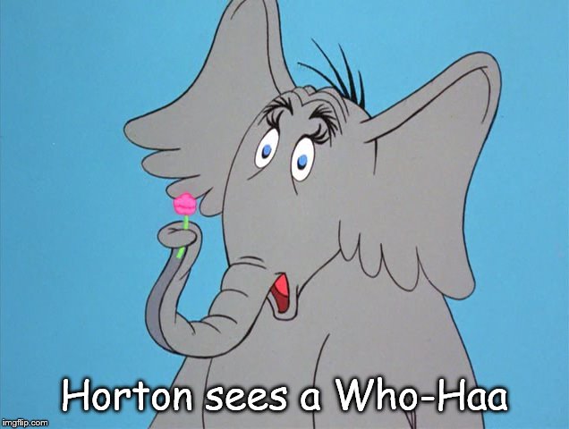 Horton sees a Who-Haa | image tagged in horton,dr seuss | made w/ Imgflip meme maker
