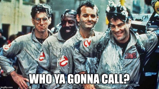 ghostbusters | WHO YA GONNA CALL? | image tagged in ghostbusters | made w/ Imgflip meme maker
