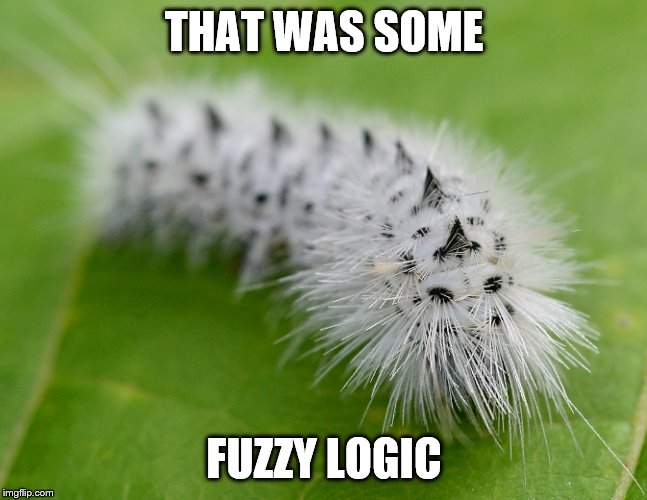 fuzzy logic | THAT WAS SOME; FUZZY LOGIC | image tagged in smart | made w/ Imgflip meme maker