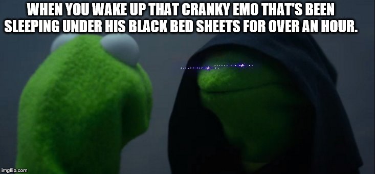 Evil Kermit Meme | WHEN YOU WAKE UP THAT CRANKY EMO THAT'S BEEN SLEEPING UNDER HIS BLACK BED SHEETS FOR OVER AN HOUR. | image tagged in memes,evil kermit | made w/ Imgflip meme maker