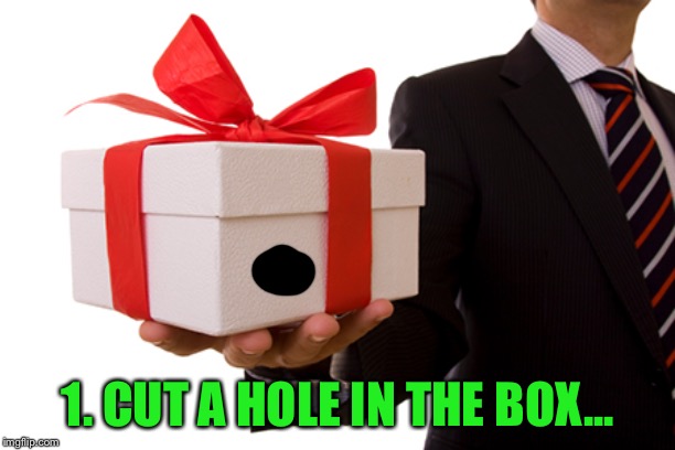 Dick In A Box | 1. CUT A HOLE IN THE BOX... | image tagged in dick in a box | made w/ Imgflip meme maker