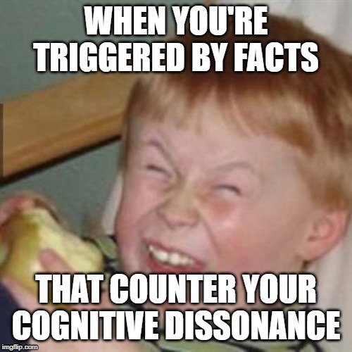 Statists' Cognitive Dissonance Passive Aggressive Mock-Laughter | image tagged in triggered feminist,leftists,statists,non-researchers,fake news believers | made w/ Imgflip meme maker