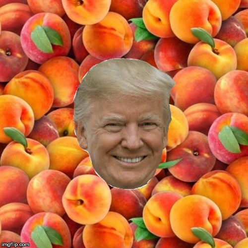 I Am Impeaches | image tagged in donald trump,impeached | made w/ Imgflip meme maker
