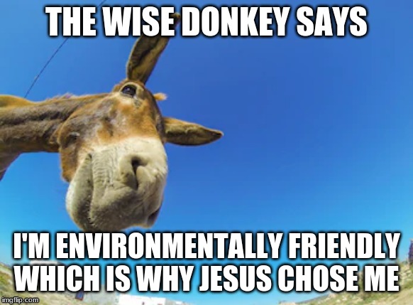 Wise Donkey Says | I'M ENVIRONMENTALLY FRIENDLY

WHICH IS WHY JESUS CHOSE ME | image tagged in wise donkey says | made w/ Imgflip meme maker