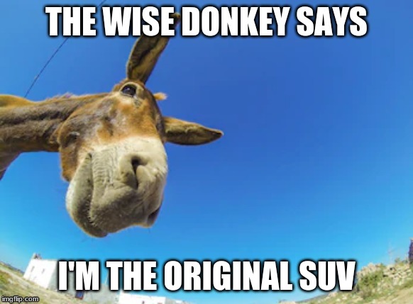 Wise Donkey Says | I'M THE ORIGINAL SUV | image tagged in wise donkey says | made w/ Imgflip meme maker