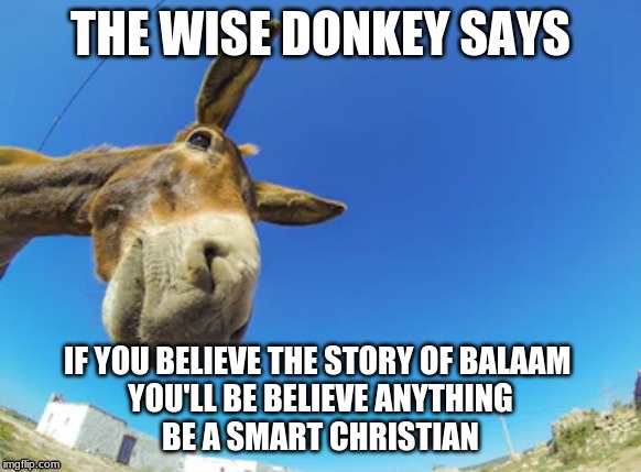 Wise Donkey Says | IF YOU BELIEVE THE STORY OF BALAAM 

YOU'LL BE BELIEVE ANYTHING

BE A SMART CHRISTIAN | image tagged in wise donkey says | made w/ Imgflip meme maker