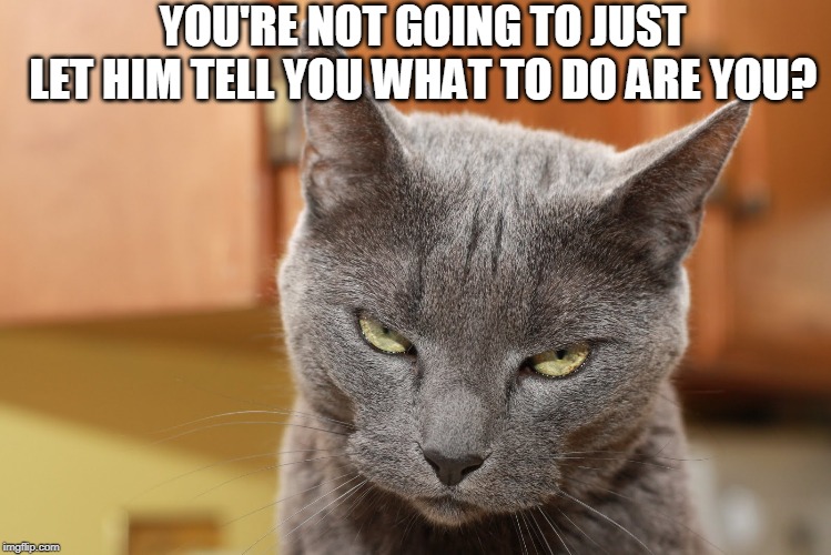 Try Me | YOU'RE NOT GOING TO JUST LET HIM TELL YOU WHAT TO DO ARE YOU? | image tagged in try me | made w/ Imgflip meme maker