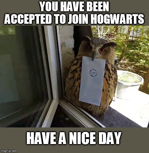 YOU HAVE BEEN ACCEPTED TO JOIN HOGWARTS HAVE A NICE DAY | made w/ Imgflip meme maker