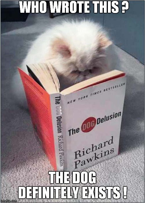 The Existence of Dog |  WHO WROTE THIS ? THE DOG DEFINITELY EXISTS ! | image tagged in fun,cats,richard dawkins | made w/ Imgflip meme maker
