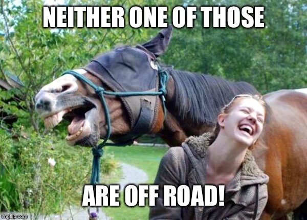 Laughing Horse | NEITHER ONE OF THOSE ARE OFF ROAD! | image tagged in laughing horse | made w/ Imgflip meme maker