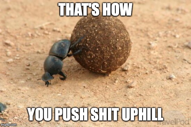 Hard Working Dung Beetle | THAT'S HOW; YOU PUSH SHIT UPHILL | image tagged in hard working dung beetle | made w/ Imgflip meme maker