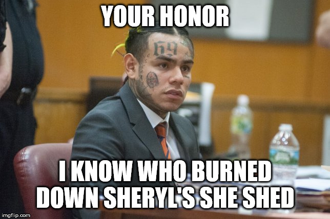 Takashi Sheryl's She Shed | YOUR HONOR; I KNOW WHO BURNED DOWN SHERYL'S SHE SHED | image tagged in takashi69,she shed | made w/ Imgflip meme maker