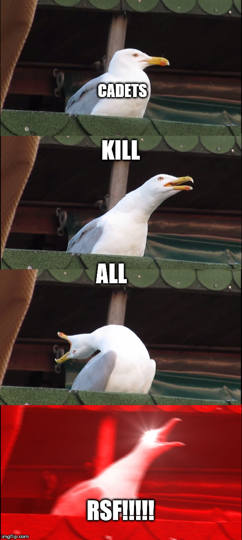 Inhaling Seagull | CADETS; KILL; ALL; RSF!!!!! | image tagged in memes,inhaling seagull | made w/ Imgflip meme maker