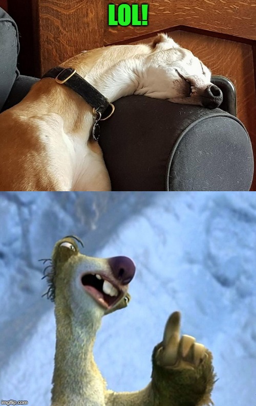look alike | LOL! | image tagged in sid,dog,funny | made w/ Imgflip meme maker