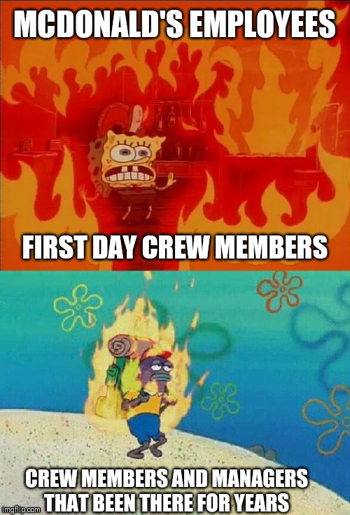SpongeBob on fire | MCDONALD'S EMPLOYEES; FIRST DAY CREW MEMBERS; CREW MEMBERS AND MANAGERS THAT BEEN THERE FOR YEARS | image tagged in spongebob on fire | made w/ Imgflip meme maker