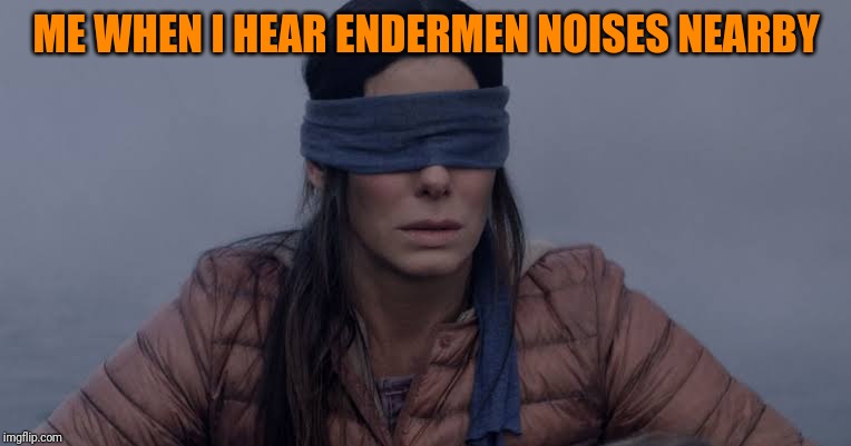 ME WHEN I HEAR ENDERMEN NOISES NEARBY | image tagged in minecraft,meme | made w/ Imgflip meme maker