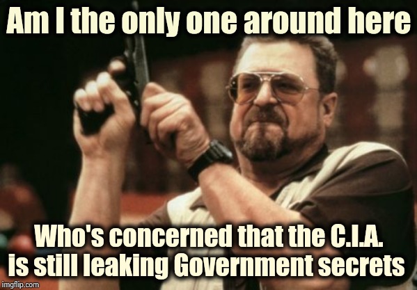 We have a bigger problem here | Am I the only one around here; Who's concerned that the C.I.A. is still leaking Government secrets | image tagged in memes,am i the only one around here,intelligence,well yes but actually no,bad idea,drain the swamp | made w/ Imgflip meme maker