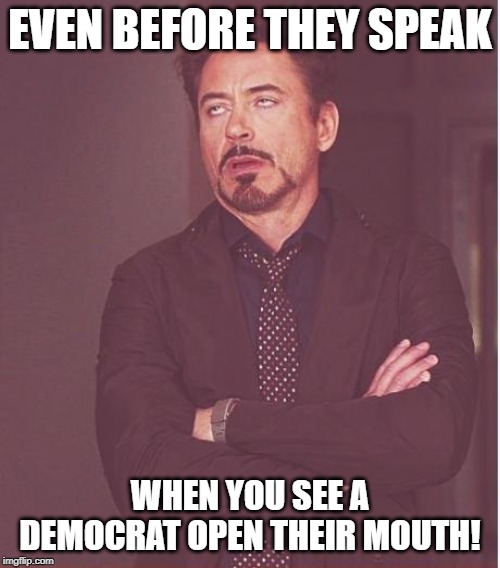 Face You Make Robert Downey Jr Meme | EVEN BEFORE THEY SPEAK; WHEN YOU SEE A DEMOCRAT OPEN THEIR MOUTH! | image tagged in memes,face you make robert downey jr | made w/ Imgflip meme maker