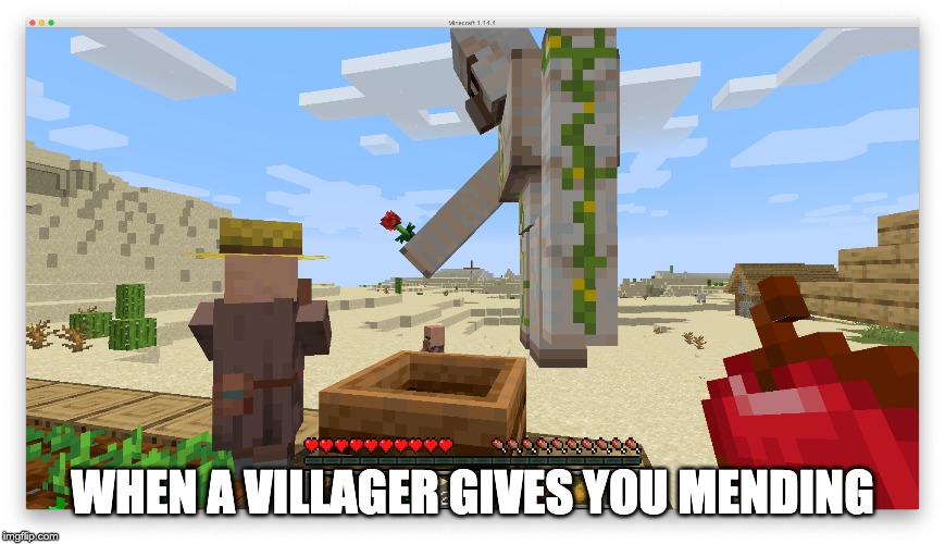Minecraft #1 | WHEN A VILLAGER GIVES YOU MENDING | image tagged in villager,minecraft | made w/ Imgflip meme maker