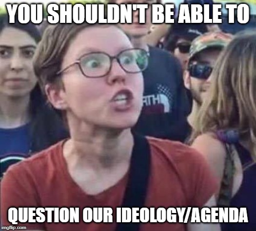 Angry Liberal | YOU SHOULDN'T BE ABLE TO; QUESTION OUR IDEOLOGY/AGENDA | image tagged in angry liberal | made w/ Imgflip meme maker