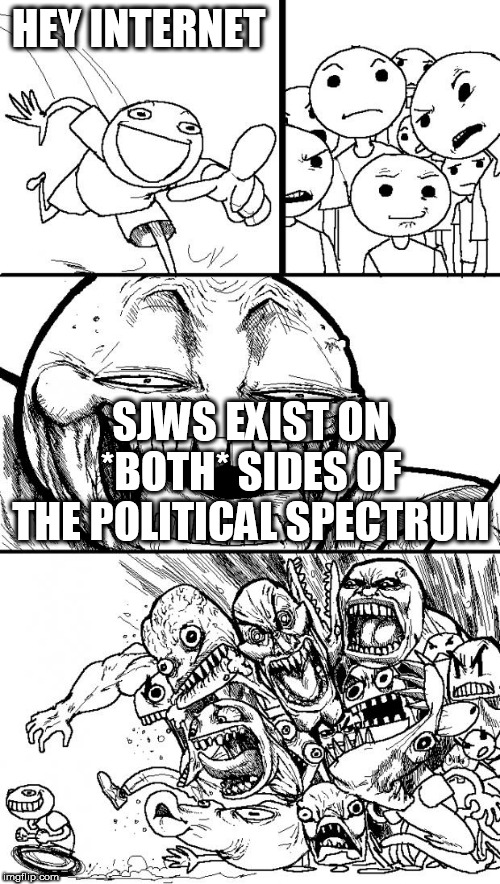 Truer words have never been spoken | HEY INTERNET; SJWS EXIST ON *BOTH* SIDES OF THE POLITICAL SPECTRUM | image tagged in memes,hey internet,sjw,sjws,left wing,right wing | made w/ Imgflip meme maker