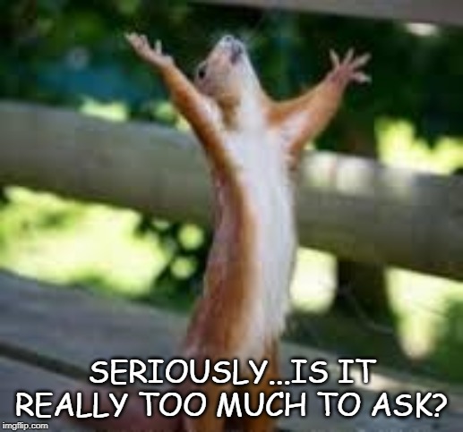 Seriously...Is it really too much to ask? | SERIOUSLY...IS IT REALLY TOO MUCH TO ASK? | image tagged in frustration | made w/ Imgflip meme maker