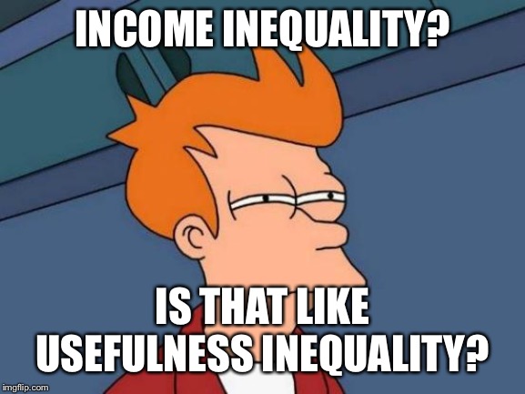 Futurama Fry Meme | INCOME INEQUALITY? IS THAT LIKE USEFULNESS INEQUALITY? | image tagged in memes,futurama fry | made w/ Imgflip meme maker