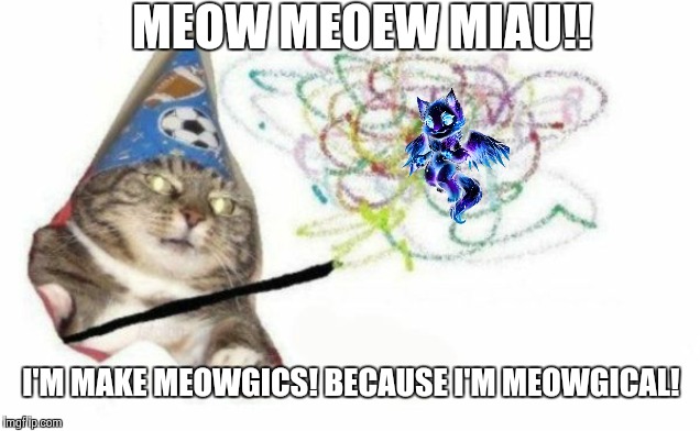 Woosh cat | MEOW MEOEW MIAU!! I'M MAKE MEOWGICS! BECAUSE I'M MEOWGICAL! | image tagged in woosh cat | made w/ Imgflip meme maker