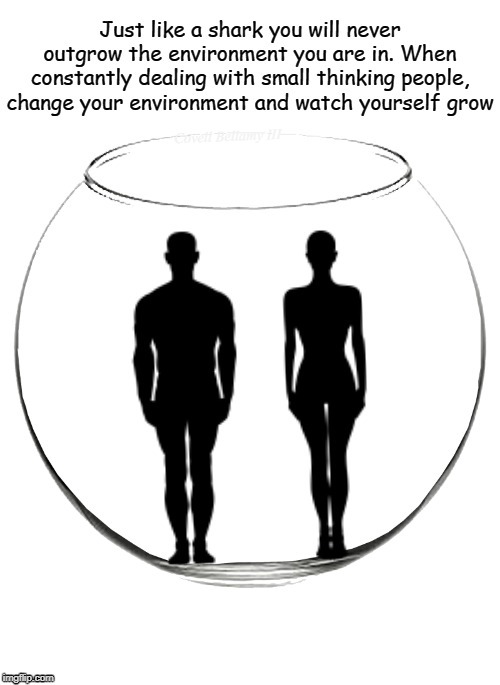 Outgrowing Your Environment | Covell Bellamy III | image tagged in outgrowing your environment | made w/ Imgflip meme maker