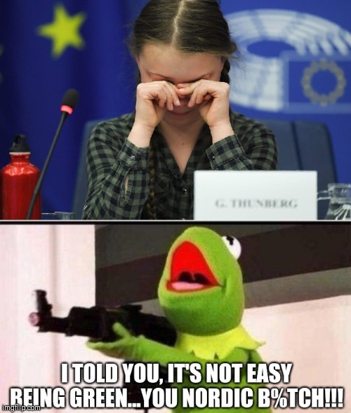 Greta Thunberg needs to toughen up! | image tagged in greta thunberg,kermit the frog,muppets,climate change,hoax,environment | made w/ Imgflip meme maker
