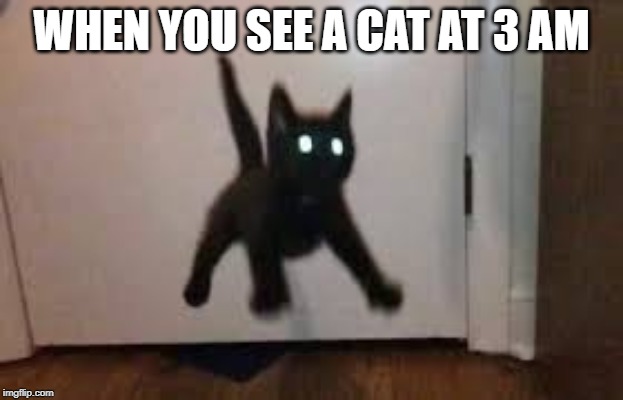  WHEN YOU SEE A CAT AT 3 AM | image tagged in spooky,cats,3 am | made w/ Imgflip meme maker
