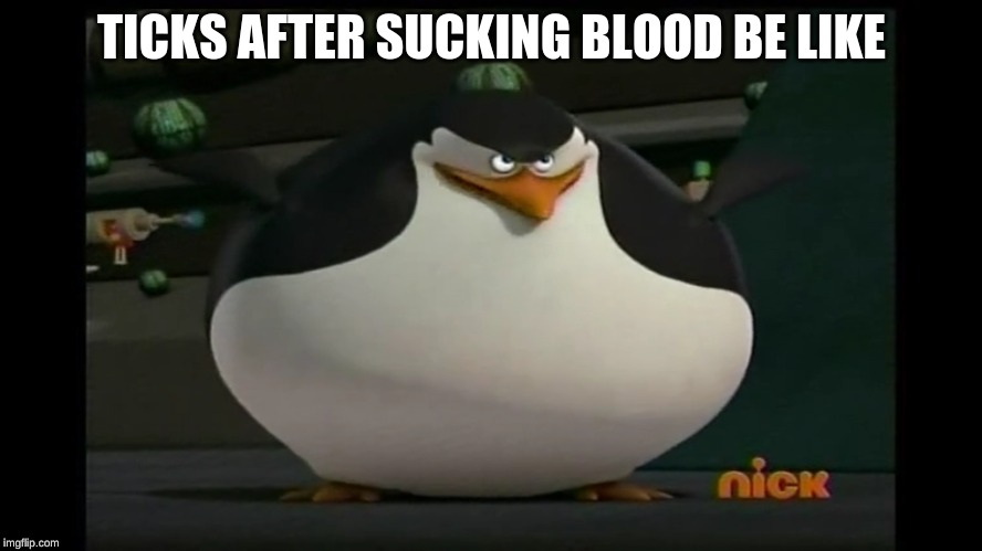 Mega Thicc Tic | TICKS AFTER SUCKING BLOOD BE LIKE | image tagged in thicc | made w/ Imgflip meme maker